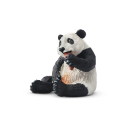 Panda Cub  Toymany