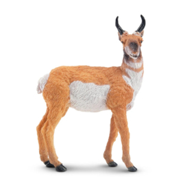 Pronghorn Toymany