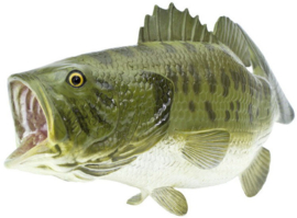 Forelbaars  Zonnebaars S265629