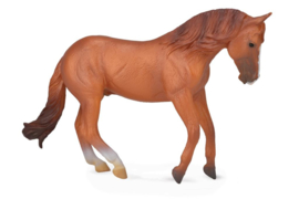 Australian Stock Horse XL  1:20 CollectA 88712