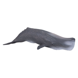 Sperm whale  Mojo 387210