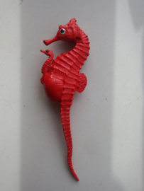 Seahorse  red   Safari  252429