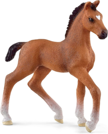 Oldenburger foal Schleich 13947