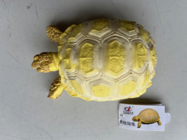 Landschildpad geel  XL