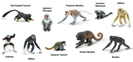 Monkeys S100323