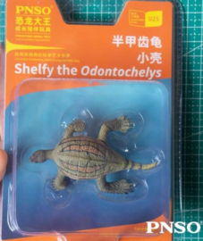 Odontochelys Shelfy mini PNSO 025