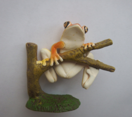 Tree frog  brown