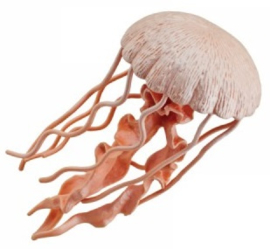 Jellyfish    S265529