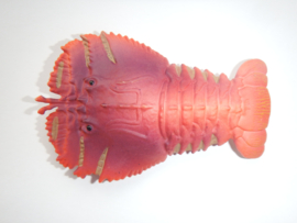 Slipper lobster (Scyllaridae)
