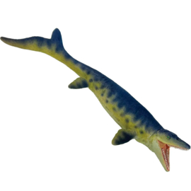 Mosasaurus S 110027