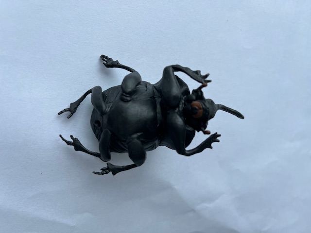 Neushoornkever groen