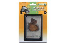 Dorsal plate from a Stegosaurus 89286