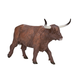 Highland cattle cow Mojo 387199