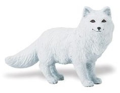 Arctic Fox  S282329