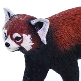 Red Panda S100320