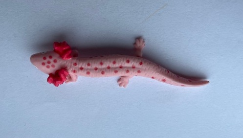 Axolotl roze