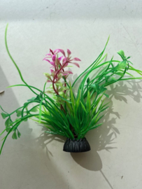 Waterplant G