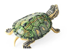 Moerasschildpad XL