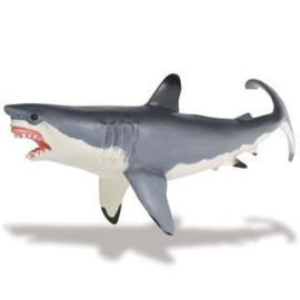 Witte haai  (Serie Monterey Bay Aquarium) S211202
