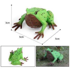 Darwin's  frog