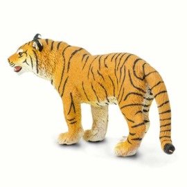 Bengal Tiger femaleS294529