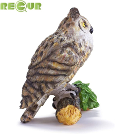 Eagle owl Great horned owl (Bubo virginianus) XL  Recur