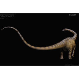 Pre-order Male Diplodocus carnegii "Stargazer"