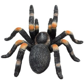 Rode Tarantula  Mojo 387213