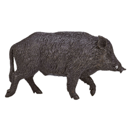 Wild boar  Mojo 387160