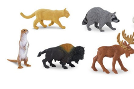 Wildlife Noord Amerika  S697004