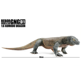 Komodovaraan Rebor 1:6