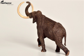 Mammoth       Mammuthus  trogontherii Eofauna