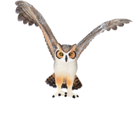 Great owl  Mojo 387284