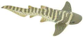 Zebrahaai  S223329