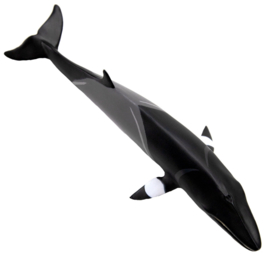 Minke whale S100413