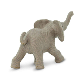 Elephant African Calf    S238529
