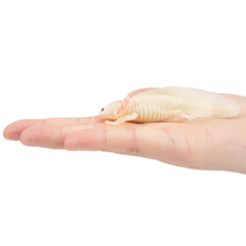 Axolotl Toymany