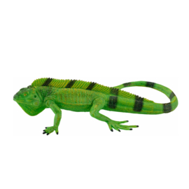 Iguana  Mojo 381095