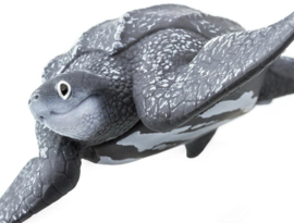 Leatherback Sea Turtle