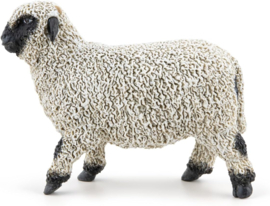Blacknose sheep Valais   Papo 51194