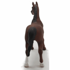 American saddlebred stallion Collecta XL 88954