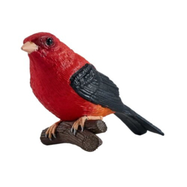 Zwartvleugeltangare  Mojo 381144