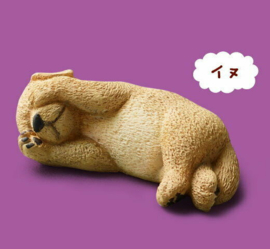 Pup  ZZZ  Takara tomy