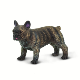 French Bulldog       S100304