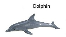 Dolfijn mini