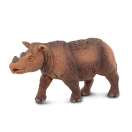 Sumatran Rhino  S100103