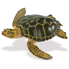 Sea turtle  green S274329
