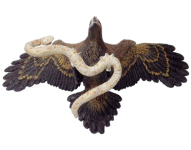 Wedgetail Eagle + brown snake