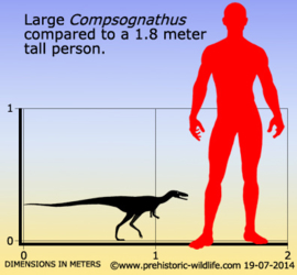 Compsognathus Dino Papo 55072