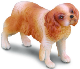 Cavalier King Charles Spaniel    88181